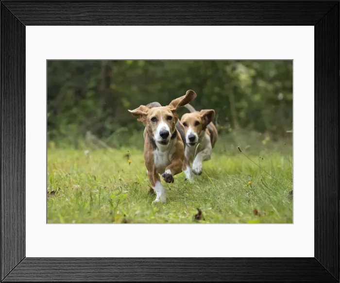 Framed Print : Picture No. 11051222 Framed Print : Picture No. 11051222