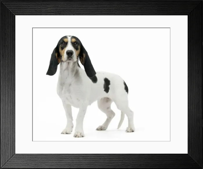 Framed Print : Picture No. 11051225 Framed Print : Picture No. 11051225