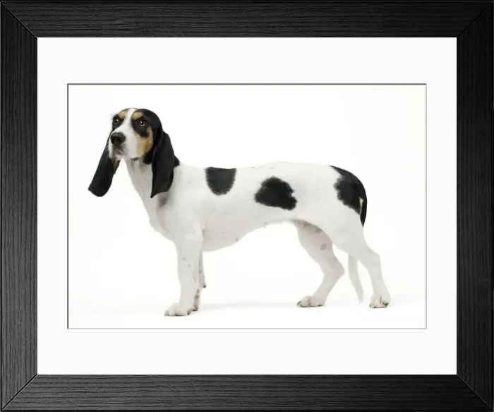 Framed Print : Picture No. 11051224 Framed Print : Picture No. 11051224