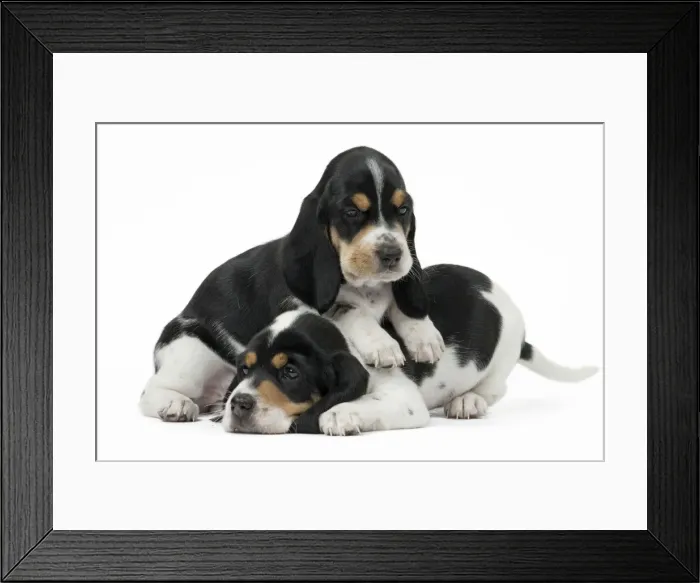 Framed Print : Picture No. 11051226 Framed Print : Picture No. 11051226