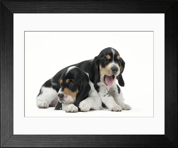 Framed Print : Picture No. 11051227 Framed Print : Picture No. 11051227