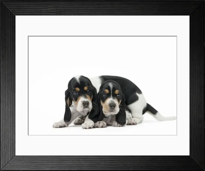 Framed Print : Picture No. 11051228 Framed Print : Picture No. 11051228