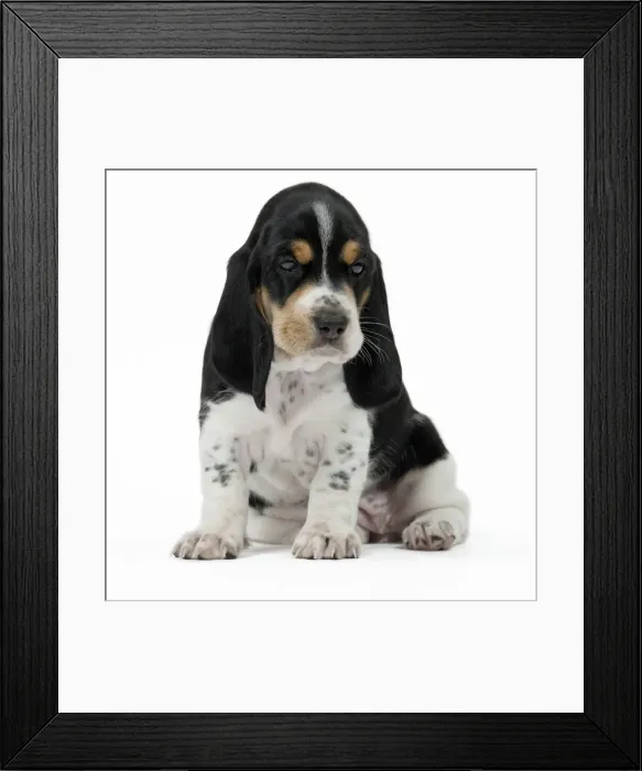 Framed Print : Picture No. 11051230 Framed Print : Picture No. 11051230