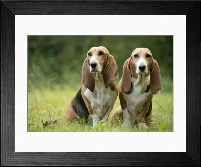 Framed Print : Picture No. 11051232 Framed Print : Picture No. 11051232