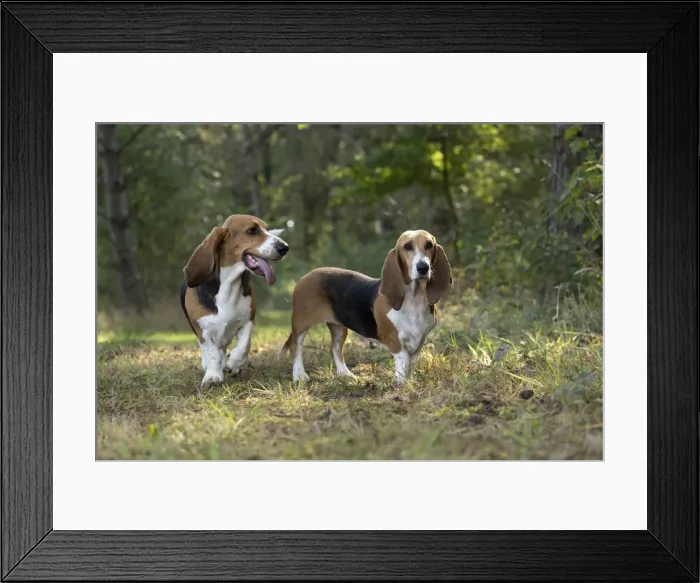 Framed Print : Picture No. 11051235 Framed Print : Picture No. 11051235