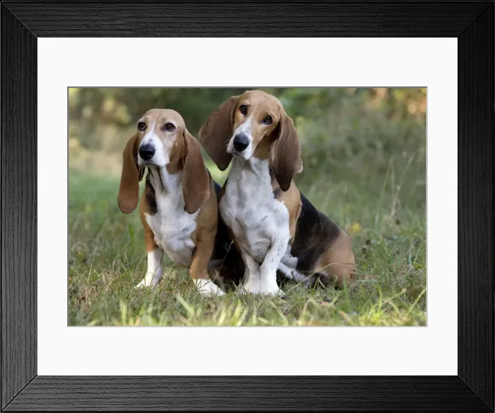 Framed Print : Picture No. 11051237 Framed Print : Picture No. 11051237