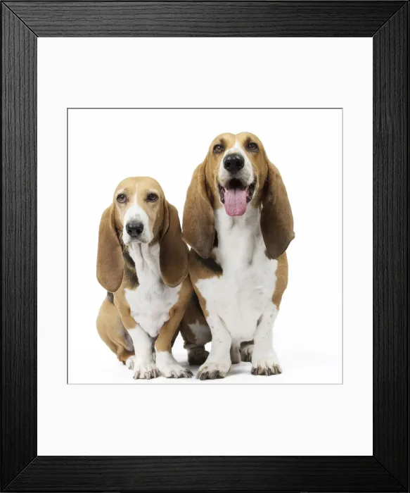 Framed Print : Picture No. 11051244 Framed Print : Picture No. 11051244