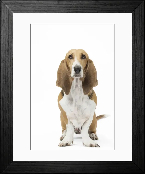 Framed Print : Picture No. 11051246 Framed Print : Picture No. 11051246