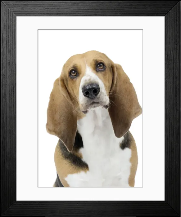 Framed Print : Picture No. 11051247 Framed Print : Picture No. 11051247