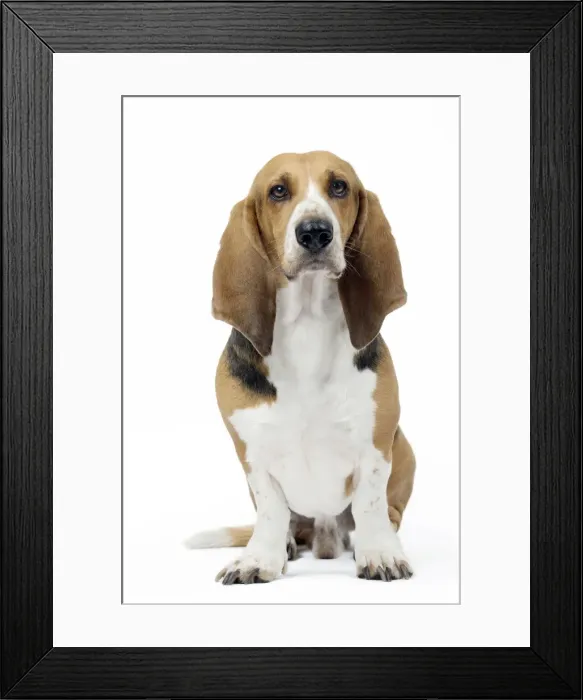 Framed Print : Picture No. 11051249 Framed Print : Picture No. 11051249