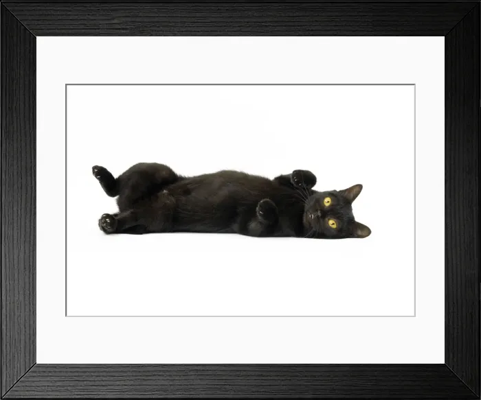 Framed Print : Picture No. 11051281 Framed Print : Picture No. 11051281