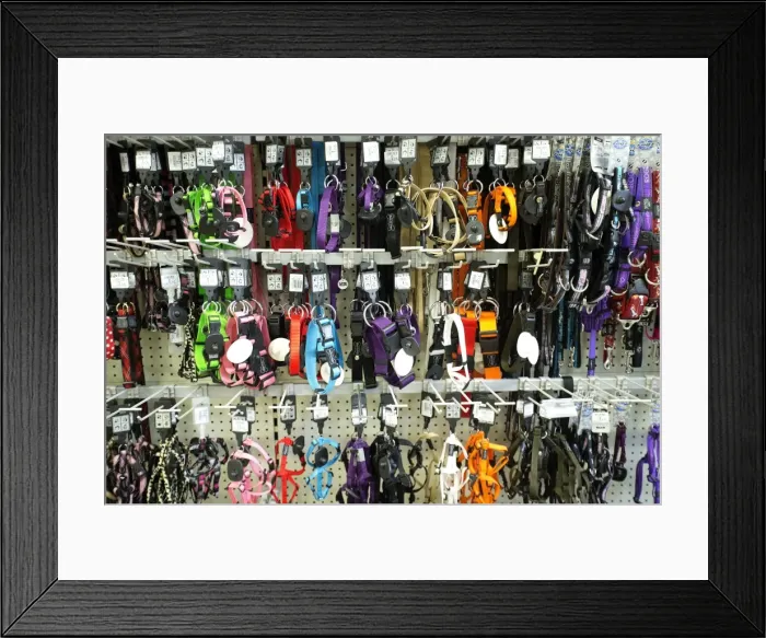 Framed Print : Picture No. 11051313 Framed Print : Picture No. 11051313