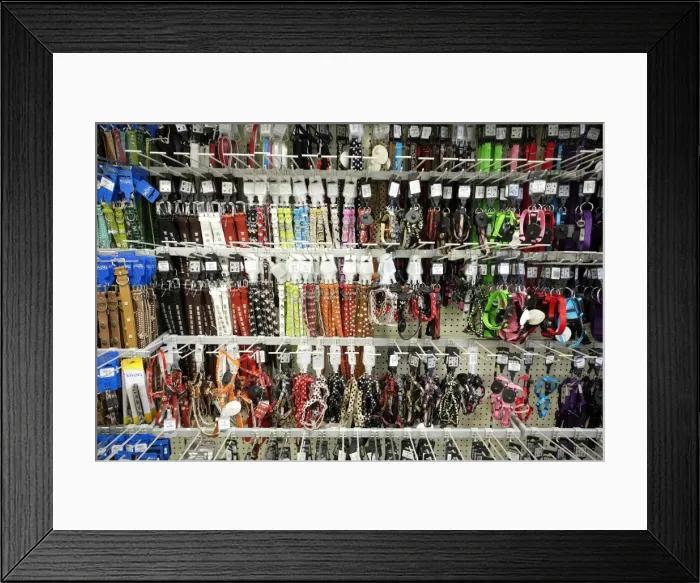 Framed Print : Picture No. 11051314 Framed Print : Picture No. 11051314