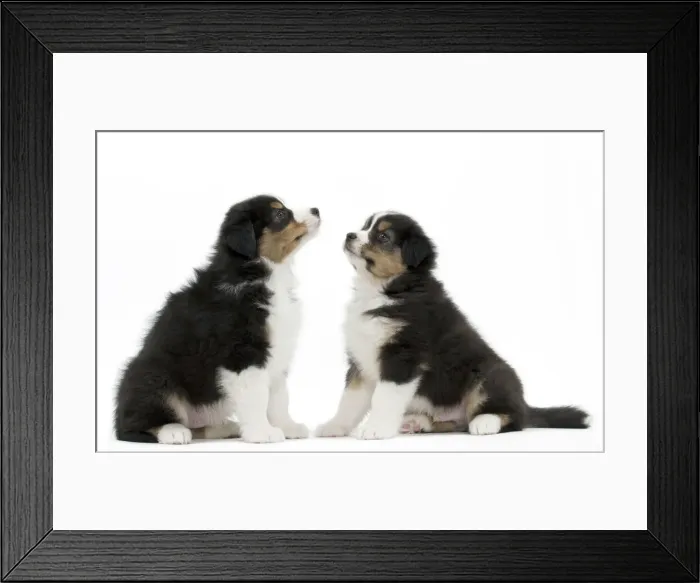 Framed Print : Picture No. 11051319 Framed Print : Picture No. 11051319