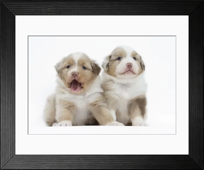 Framed Print : Picture No. 11051327 Framed Print : Picture No. 11051327