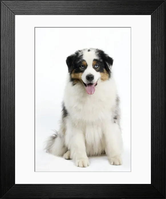 Framed Print : Picture No. 11051344 Framed Print : Picture No. 11051344