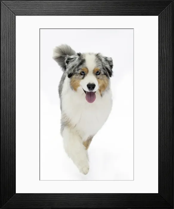 Framed Print : Picture No. 11051349 Framed Print : Picture No. 11051349