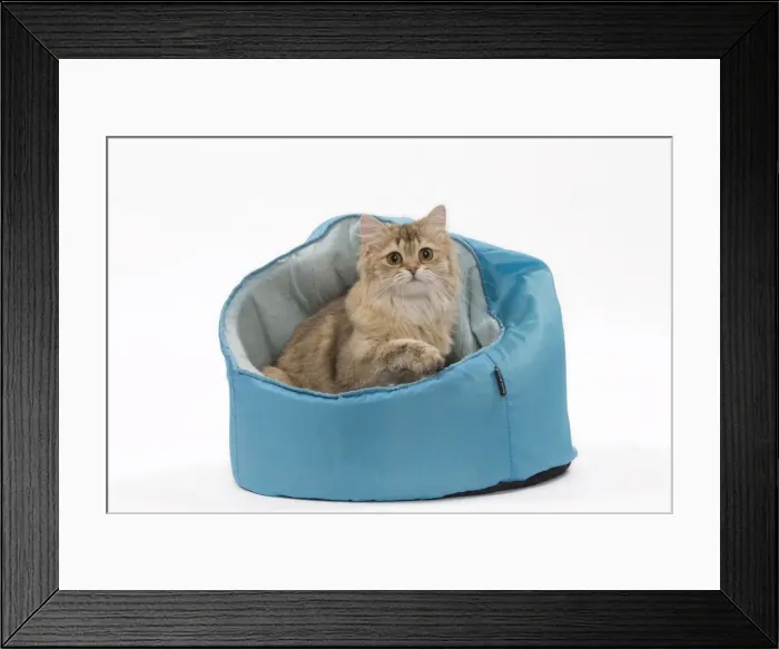 Framed Print : Picture No. 11051362 Framed Print : Picture No. 11051362