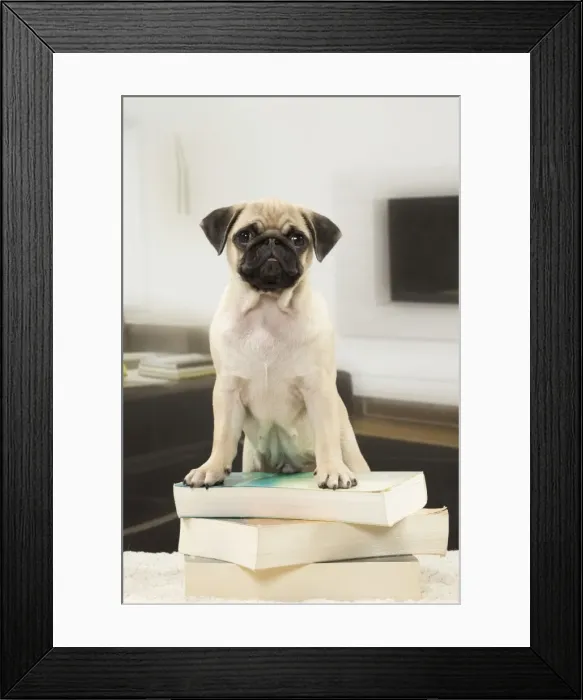 Framed Print : Picture No. 11051413 Framed Print : Picture No. 11051413
