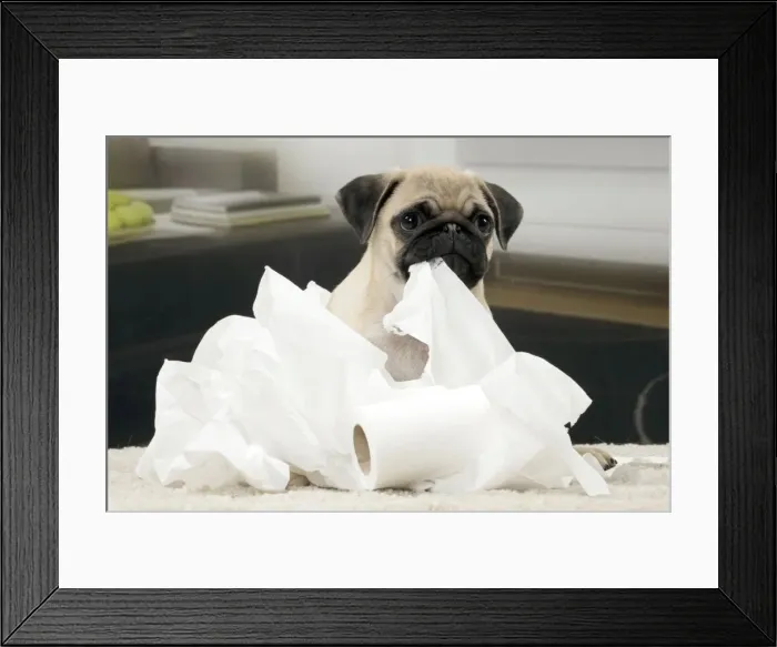 Framed Print : Picture No. 11051414 Framed Print : Picture No. 11051414