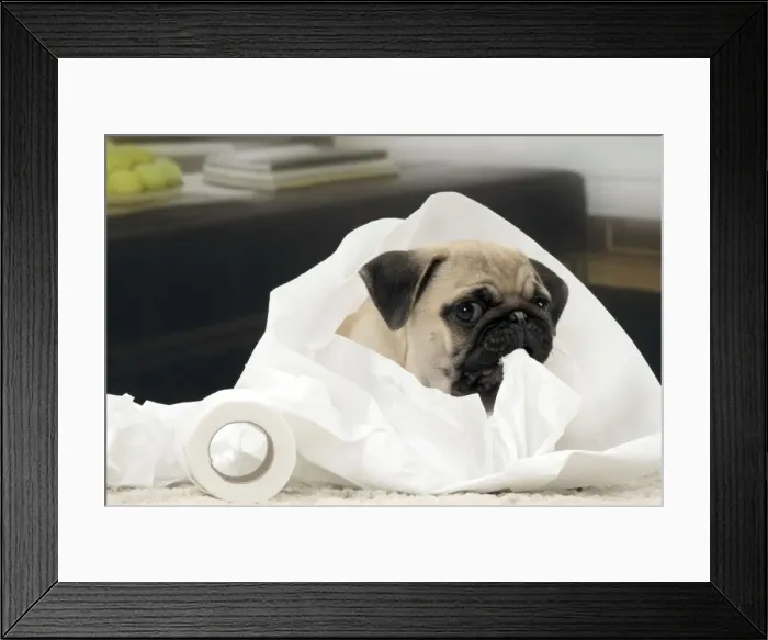 Framed Print : Picture No. 11051415 Framed Print : Picture No. 11051415