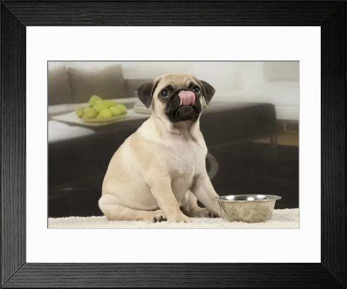 Framed Print : Picture No. 11051418 Framed Print : Picture No. 11051418