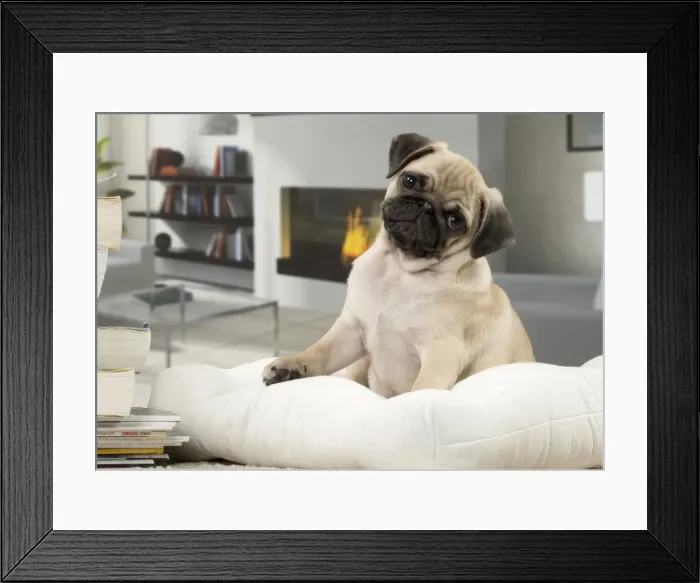 Framed Print : Picture No. 11051421 Framed Print : Picture No. 11051421
