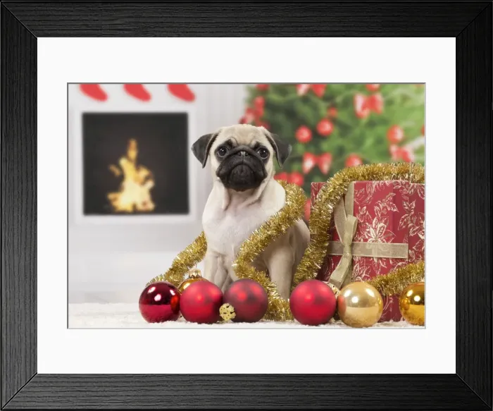 Framed Print : Picture No. 11051427 Framed Print : Picture No. 11051427