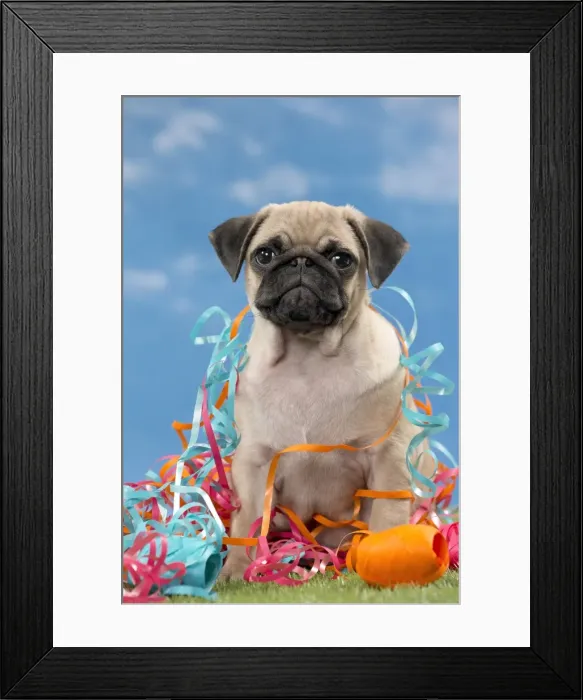 Framed Print : Picture No. 11051429 Framed Print : Picture No. 11051429