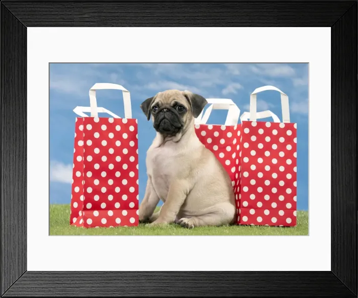 Framed Print : Picture No. 11051442 Framed Print : Picture No. 11051442