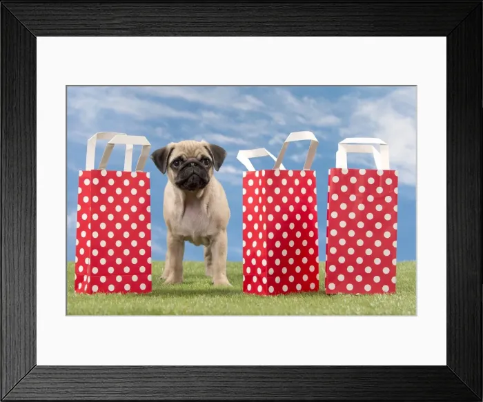 Framed Print : Picture No. 11051443 Framed Print : Picture No. 11051443