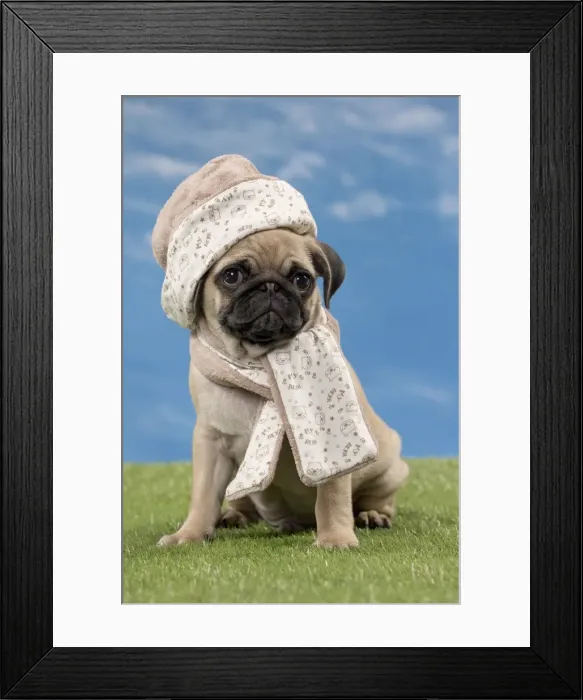 Framed Print : Picture No. 11051444 Framed Print : Picture No. 11051444