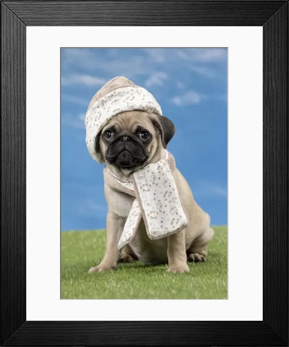 Framed Print : Picture No. 11051445 Framed Print : Picture No. 11051445