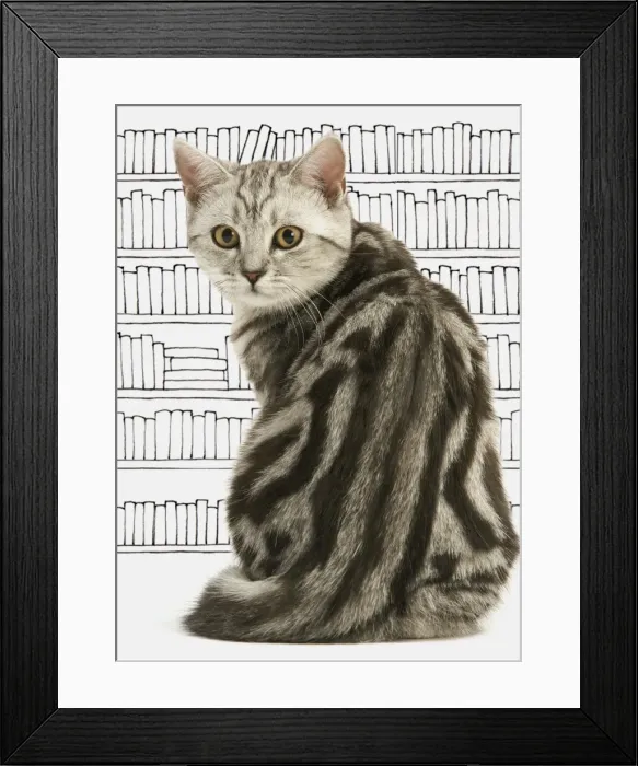 Framed Print : Picture No. 11051461 Framed Print : Picture No. 11051461