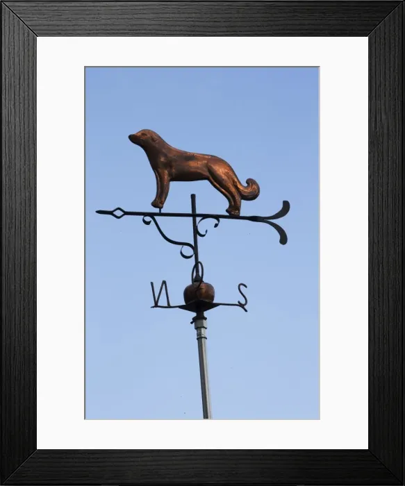 Framed Print : Picture No. 11051462 Framed Print : Picture No. 11051462