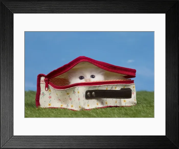 Framed Print : Picture No. 11051482 Framed Print : Picture No. 11051482