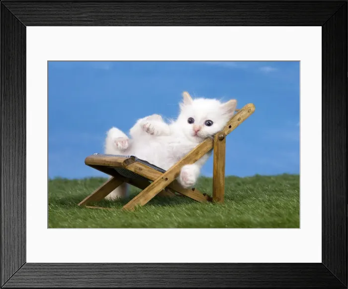 Framed Print : Picture No. 11051483 Framed Print : Picture No. 11051483