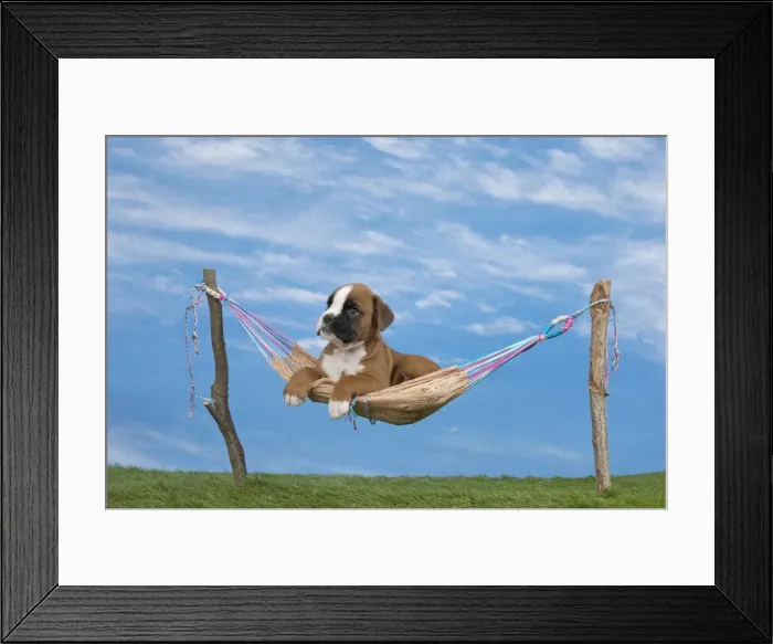 Framed Print : Picture No. 11051486 Framed Print : Picture No. 11051486