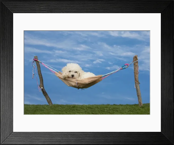 Framed Print : Picture No. 11051487 Framed Print : Picture No. 11051487
