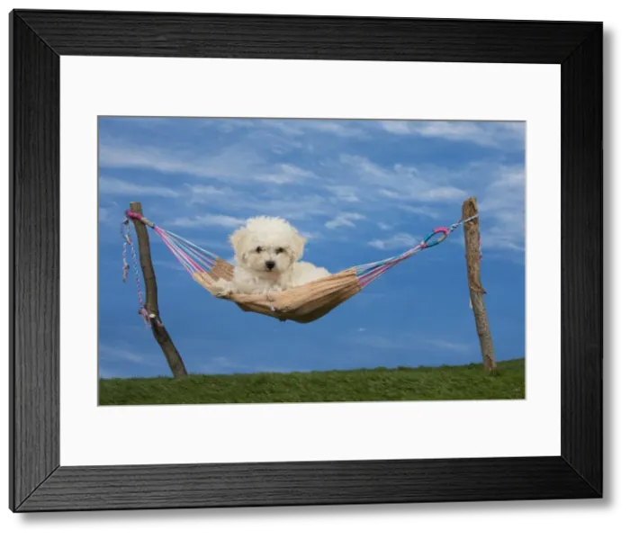 Framed Print : Picture No. 11051488 Framed Print : Picture No. 11051488