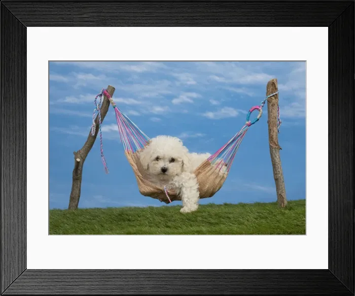 Framed Print : Picture No. 11051489 Framed Print : Picture No. 11051489