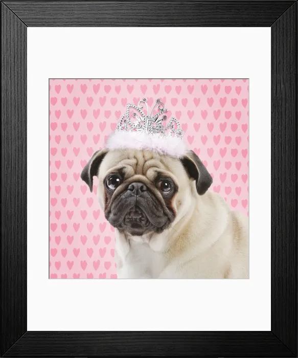 Framed Print : Picture No. 11052039 Framed Print : Picture No. 11052039
