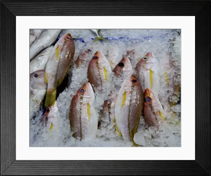 Framed Print : Picture No. 11051725 Framed Print : Picture No. 11051725