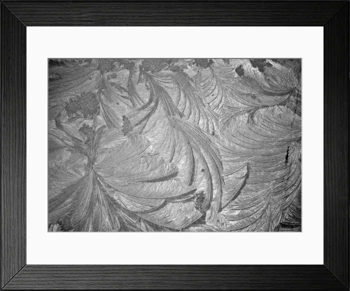 Framed Print : Picture No. 11051741 Framed Print : Picture No. 11051741