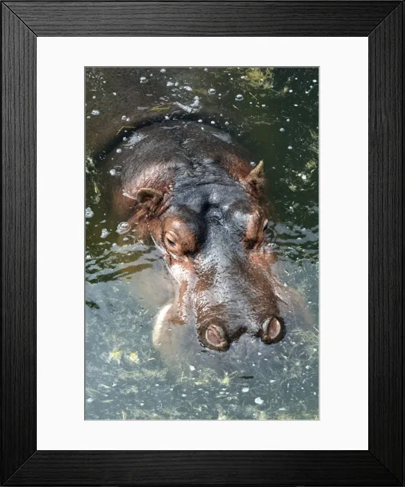 Framed Print : Picture No. 11051765 Framed Print : Picture No. 11051765