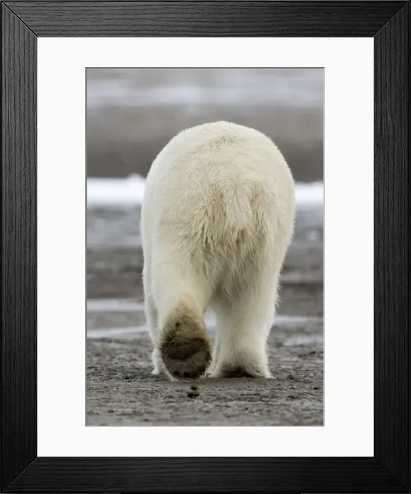 Framed Print : Picture No. 11051786 Framed Print : Picture No. 11051786