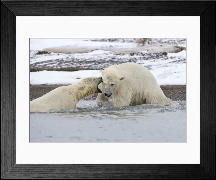 Framed Print : Picture No. 11051802