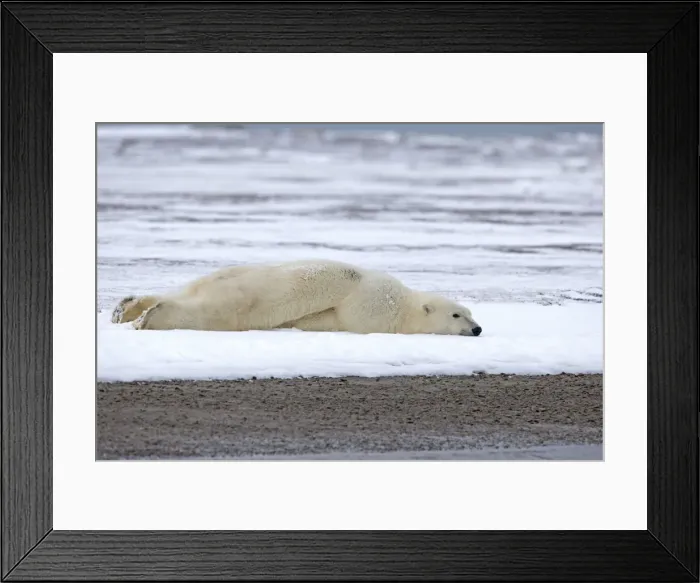 Framed Print : Picture No. 11051809 Framed Print : Picture No. 11051809
