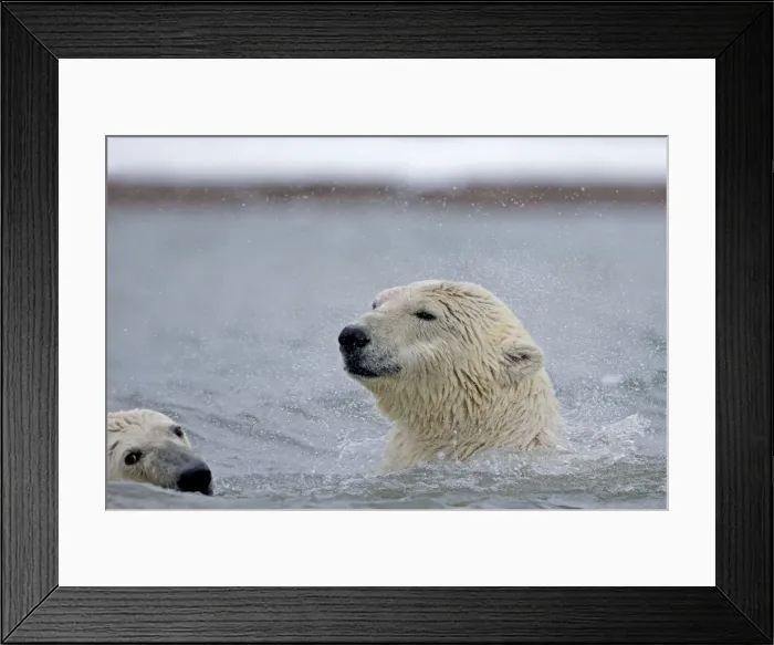 Framed Print : Picture No. 11051811 Framed Print : Picture No. 11051811