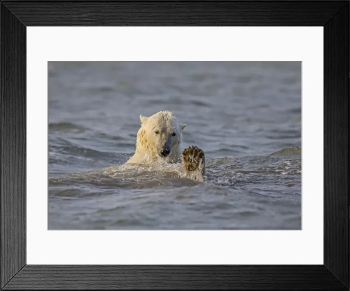 Framed Print : Picture No. 11051825 Framed Print : Picture No. 11051825